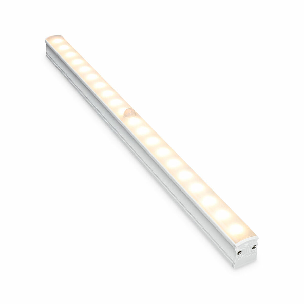 S1906029_0 S1906029_0