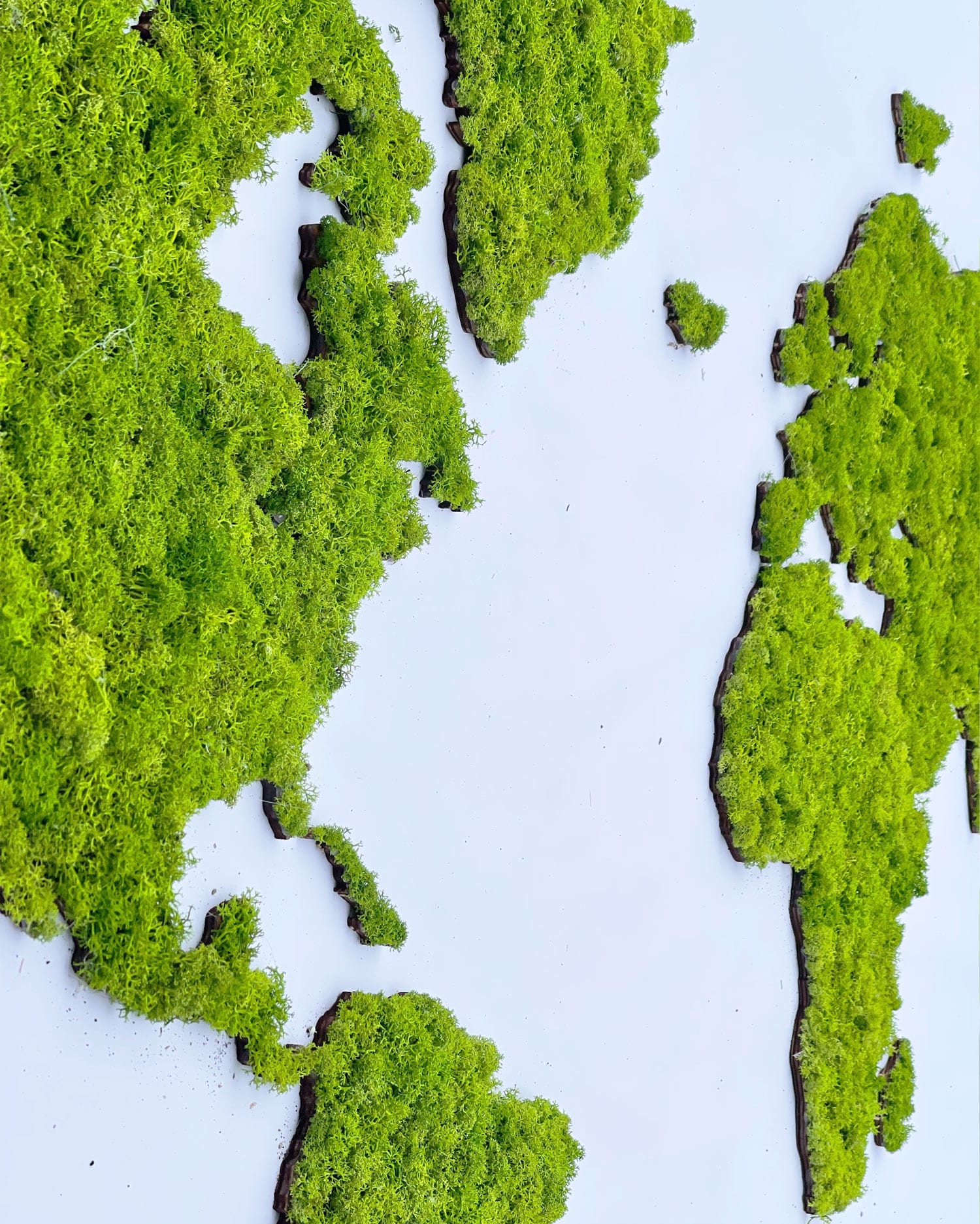 world-map-of-moss-cladonia-green-map-1.jpg