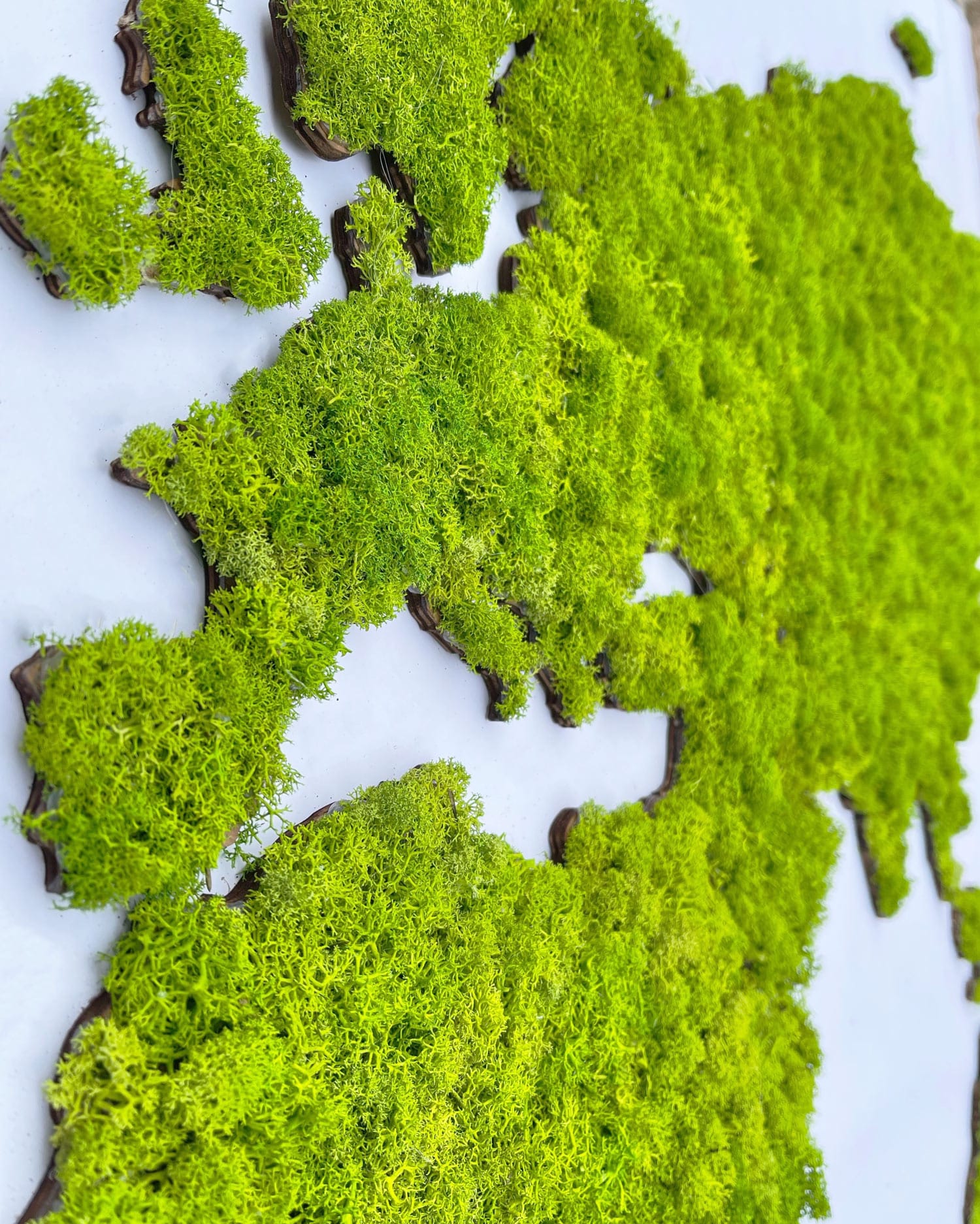 world-map-of-moss-cladonia-green-map-2.jpg