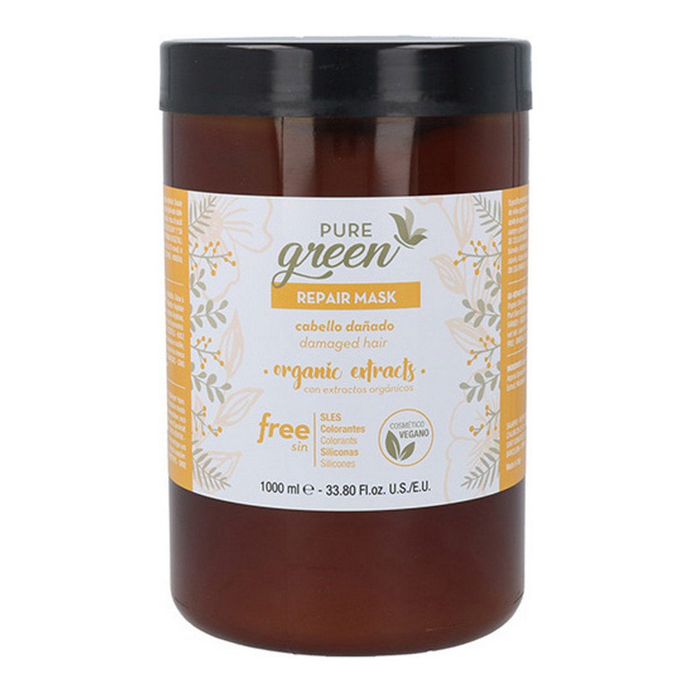 S4256304_1 S4256304_1