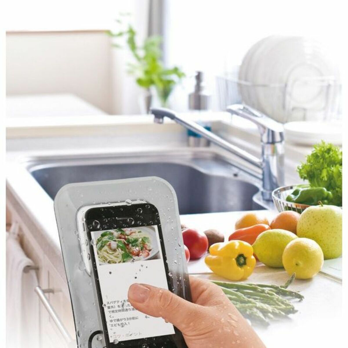 S1902446_1 S1902446_1