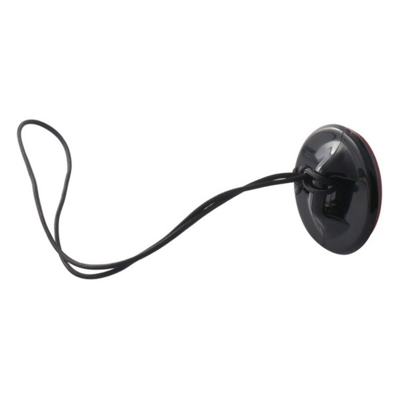 S1902475_1 S1902475_1