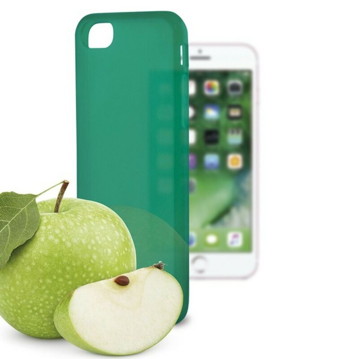 S1905771_2 S1905771_2