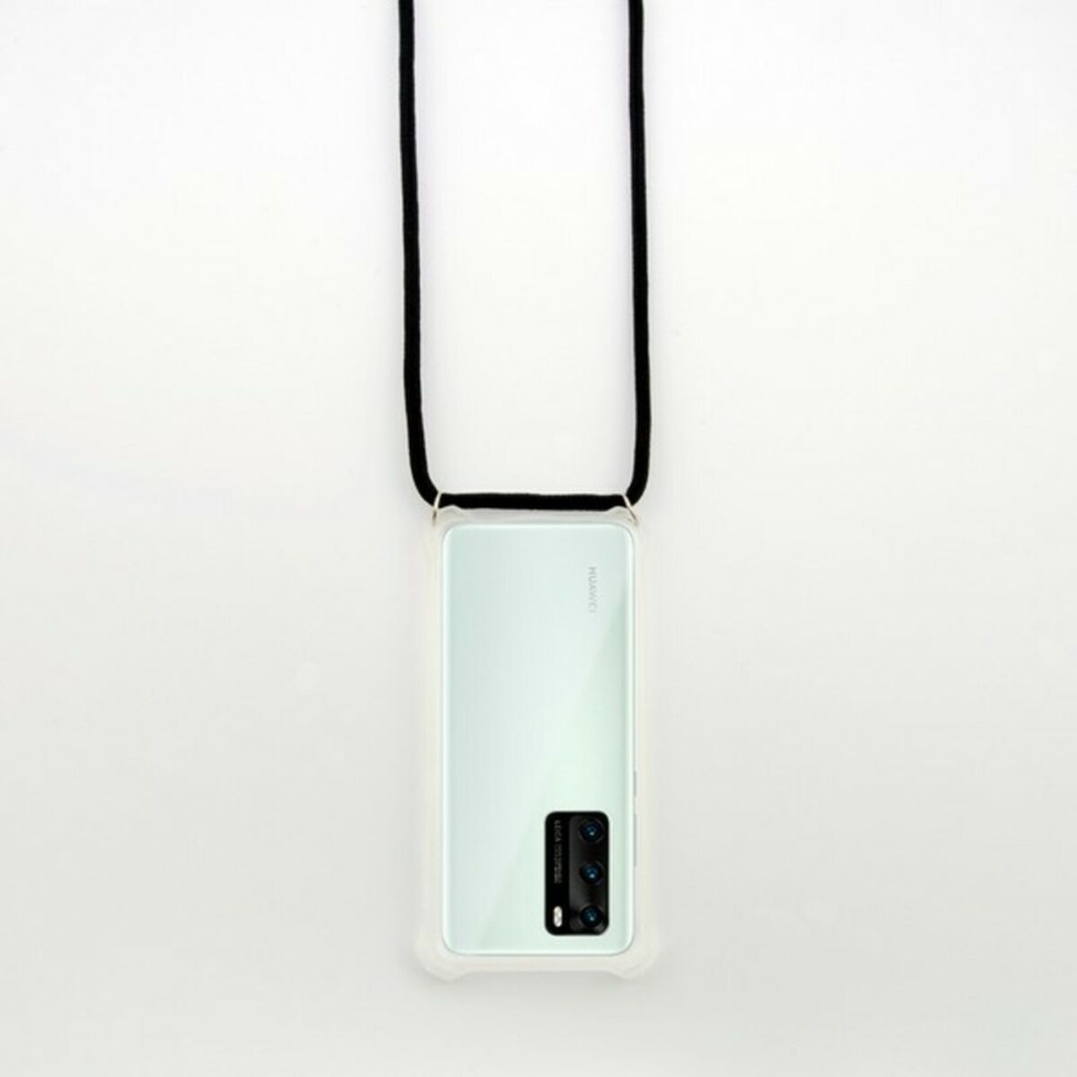 S1904496_1 S1904496_1