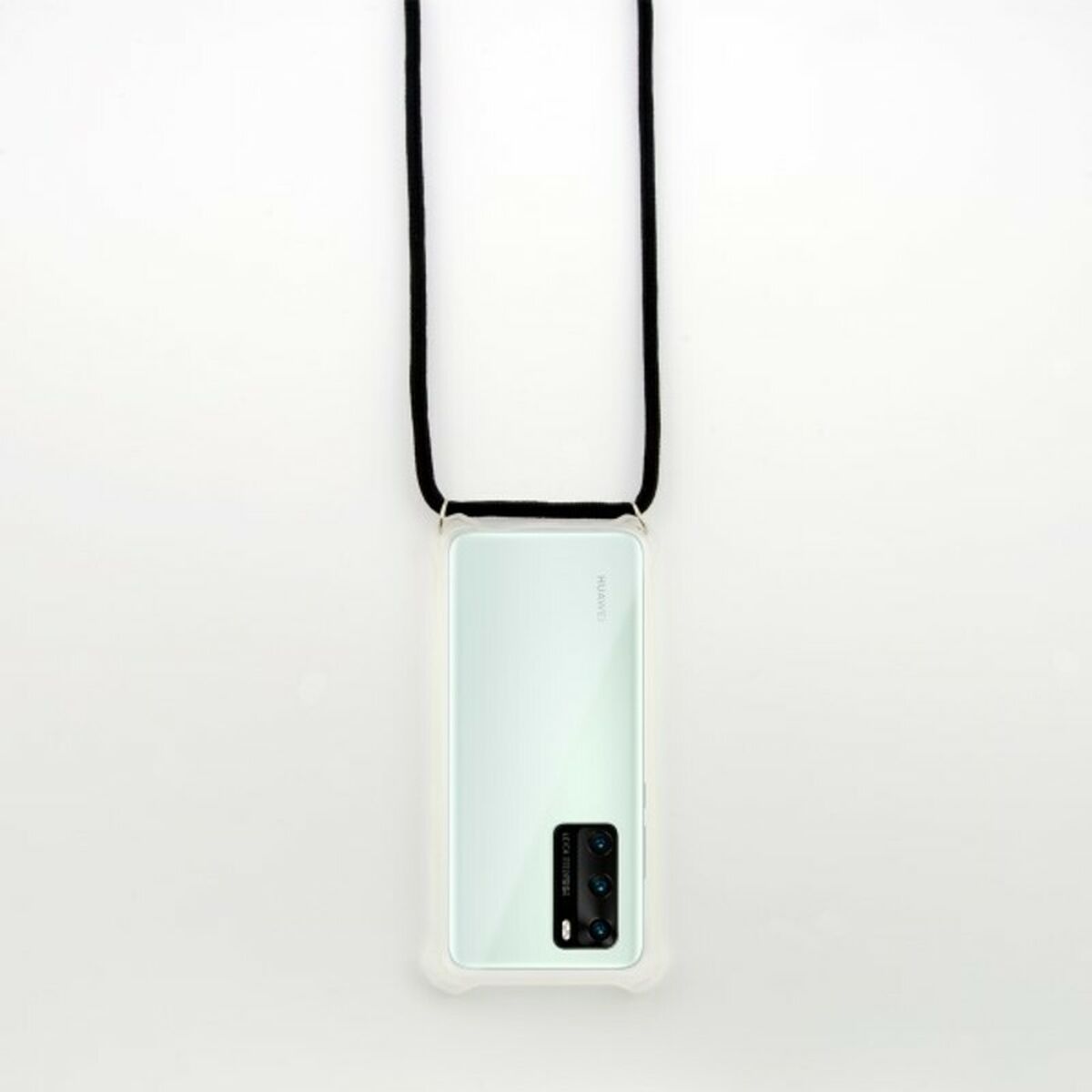 S1904430_1 S1904430_1