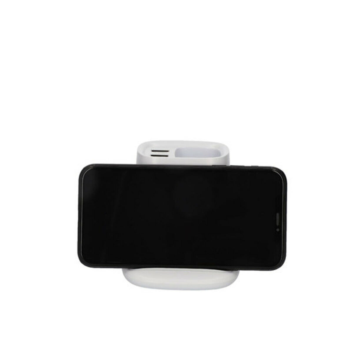 S1905452_12 S1905452_12