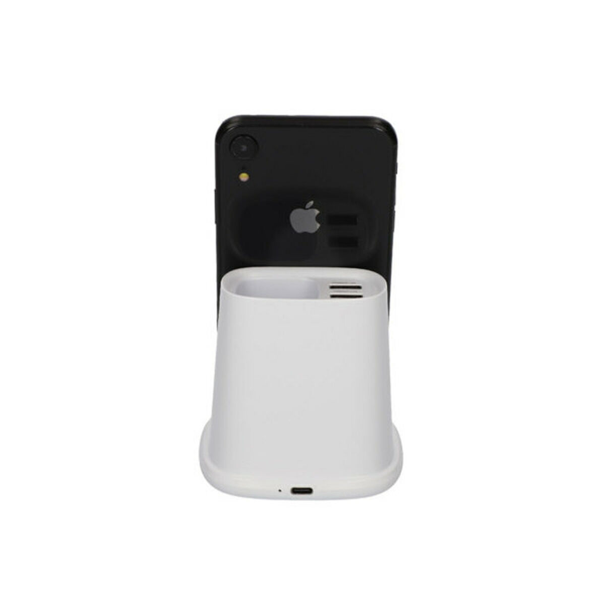 S1905452_10 S1905452_10