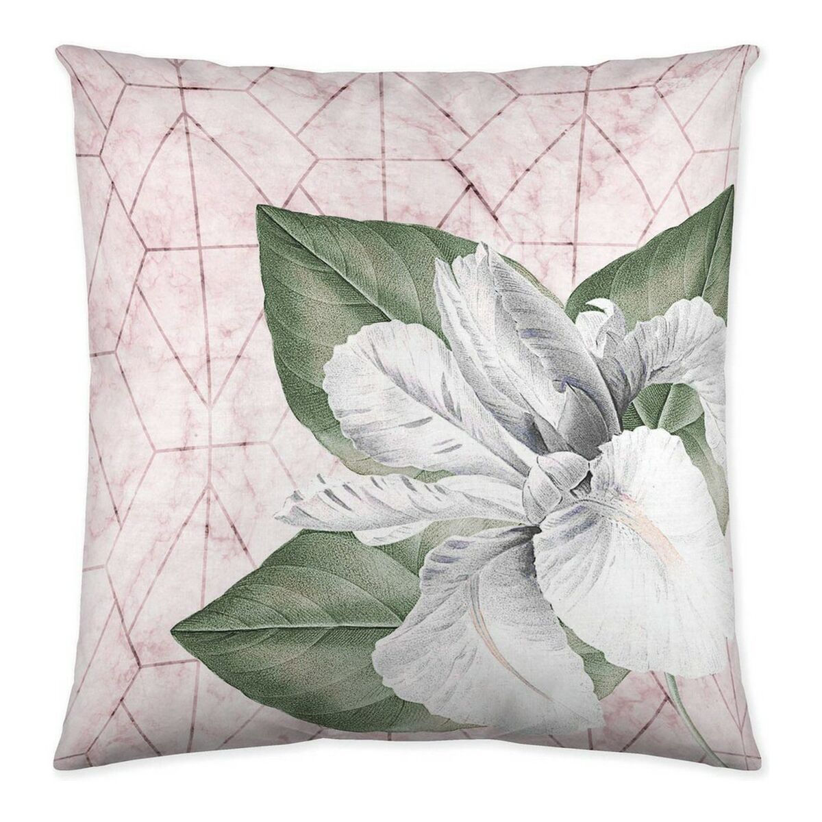 S2804795_1 S2804795_1