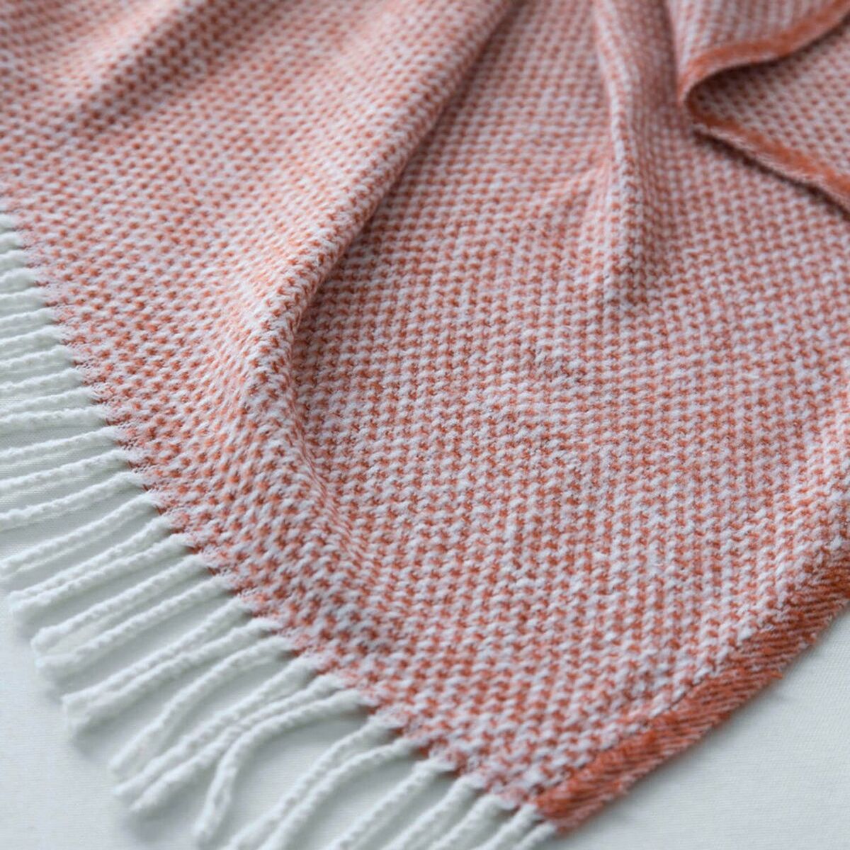 S2806137_2 S2806137_2