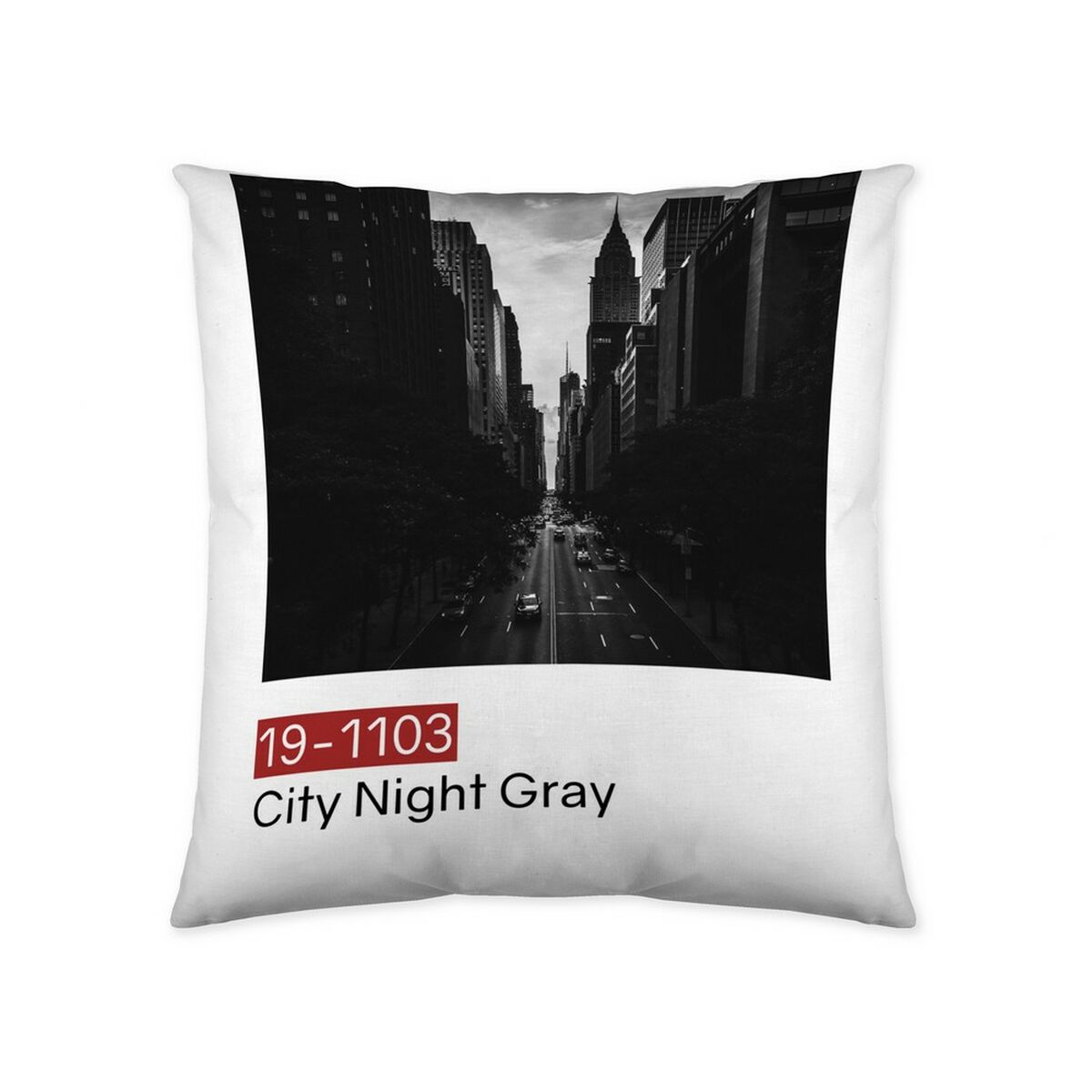 S2806823_1 S2806823_1