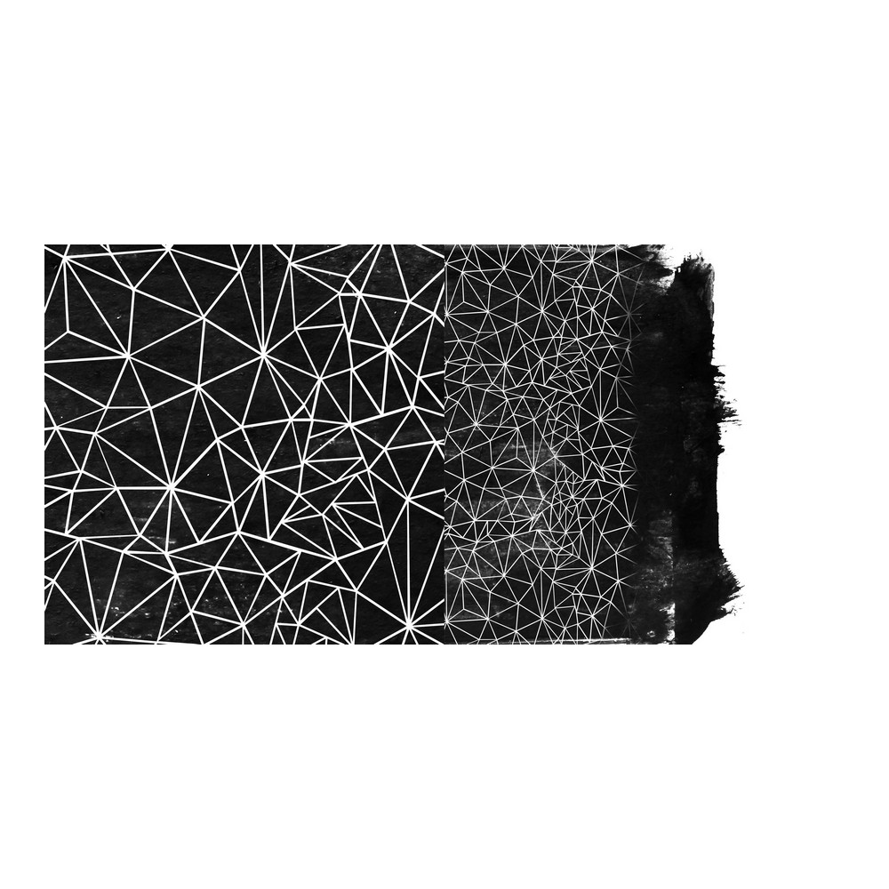 S2804866_2 S2804866_2