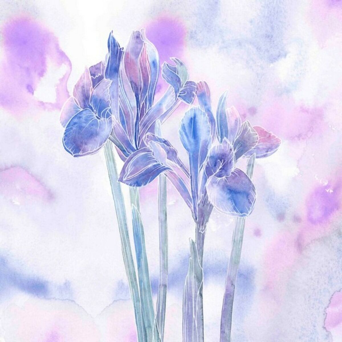 S2803922_2 S2803922_2