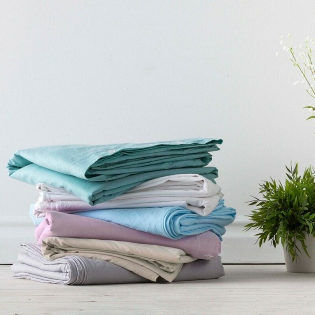 S2803523_2 S2803523_2