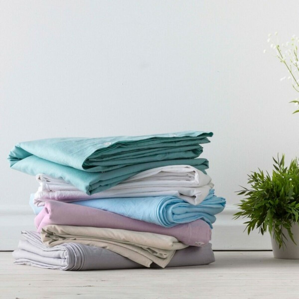 S2803524_2 S2803524_2