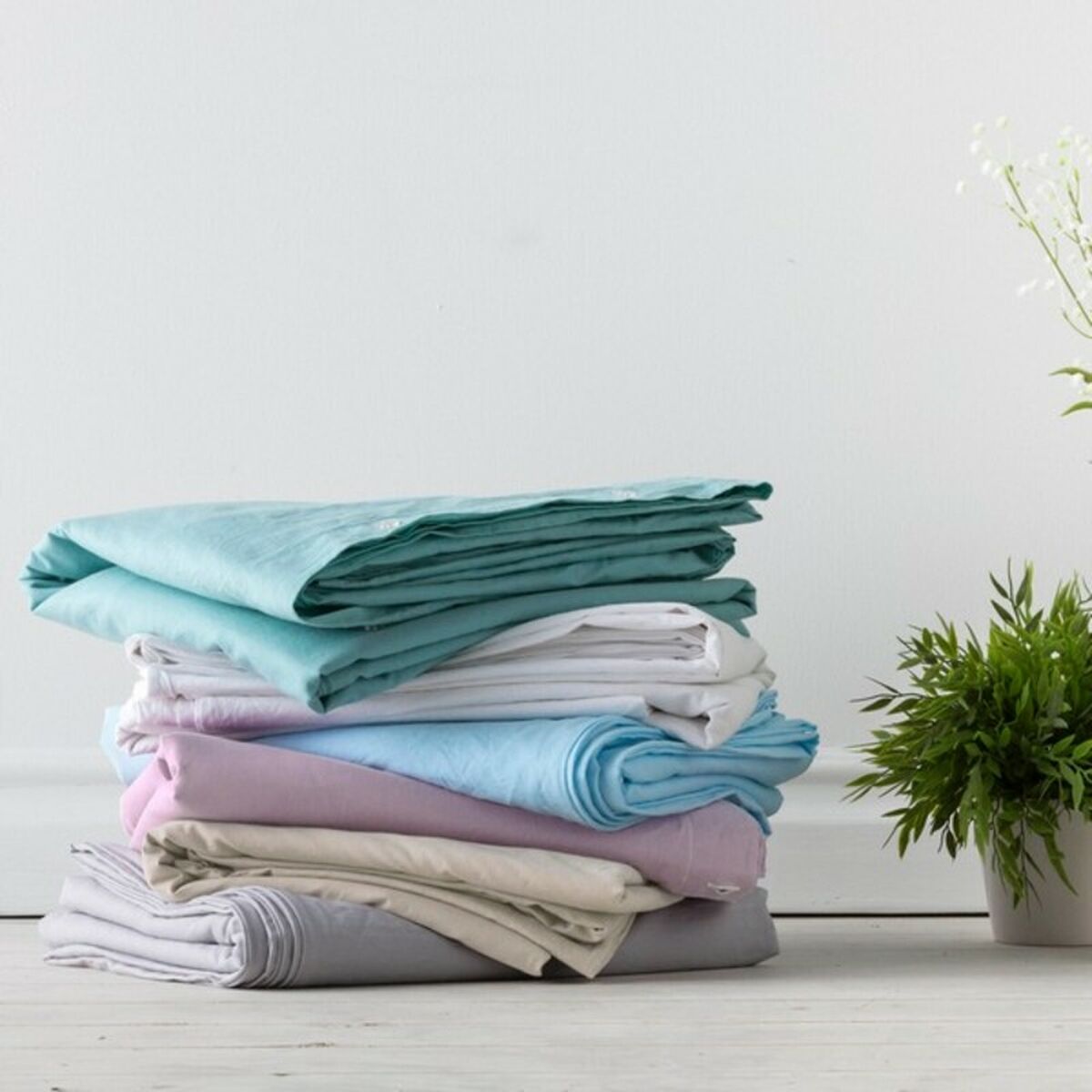 S2803539_2 S2803539_2