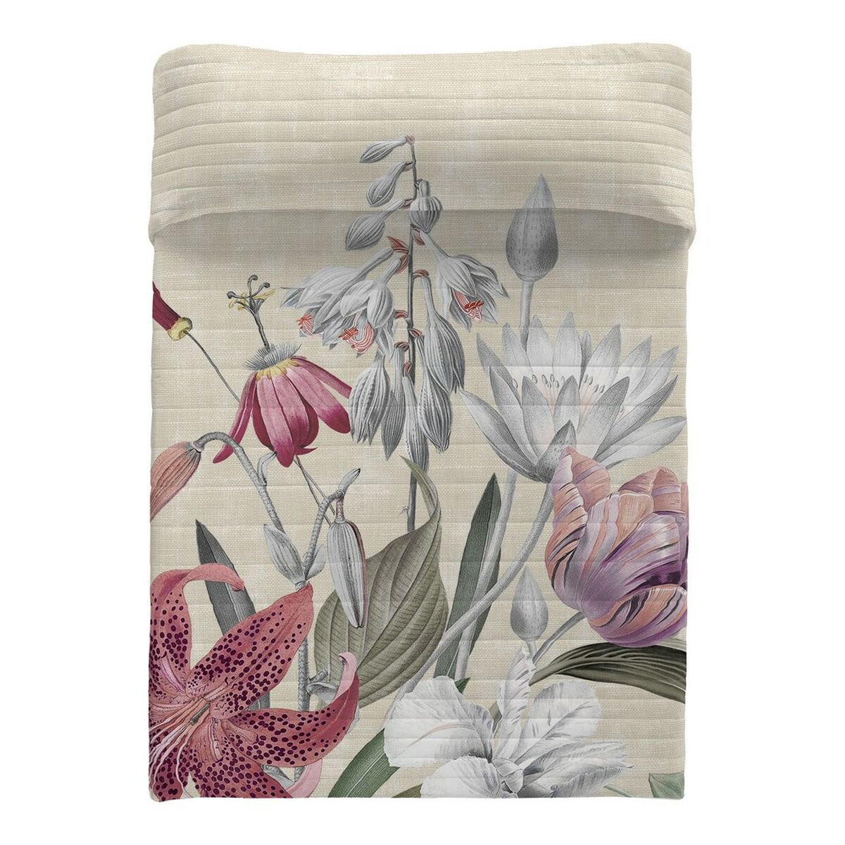 S2804850_2 S2804850_2