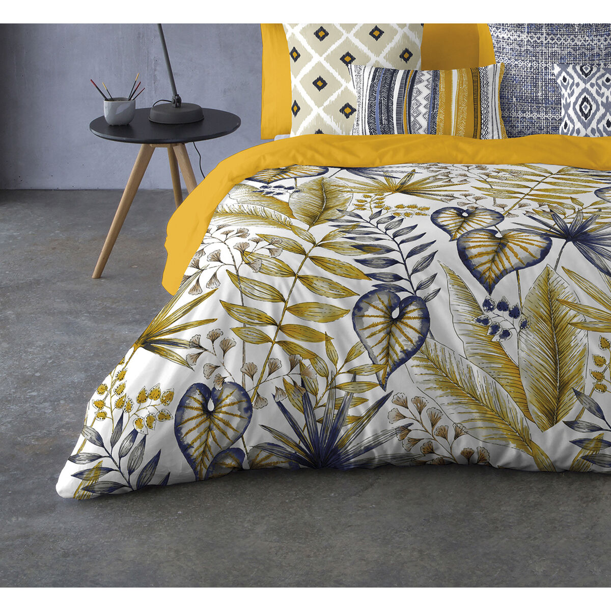 S2806246_1 S2806246_1