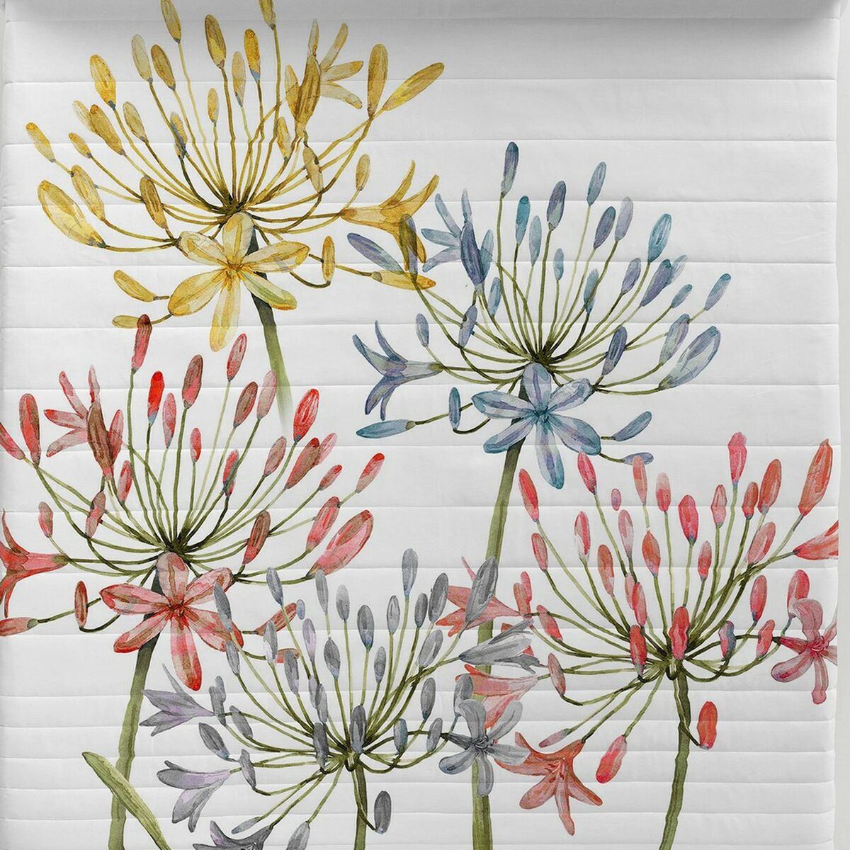 S2805516_3 S2805516_3