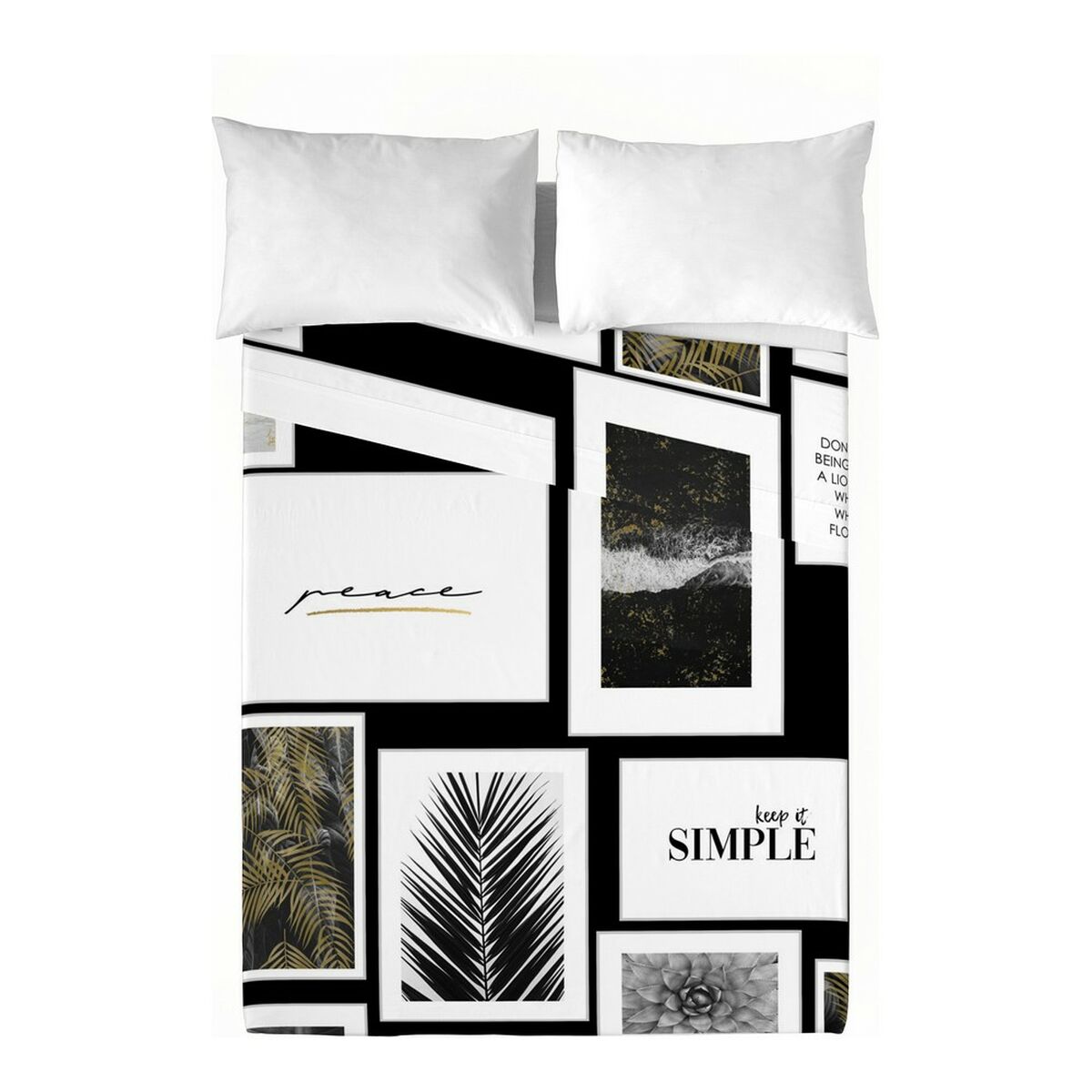 S2804876_0 S2804876_0