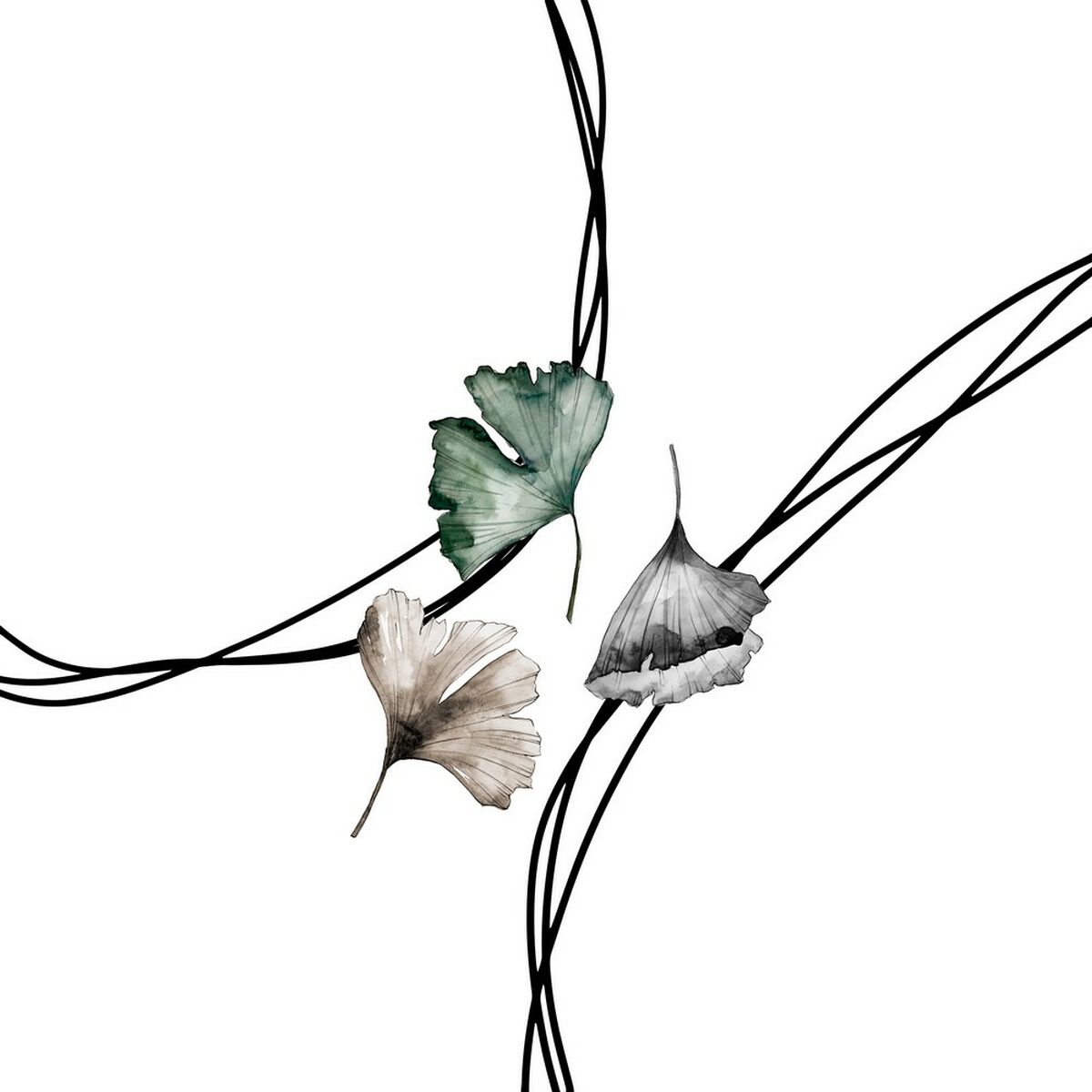 S2806882_3 S2806882_3