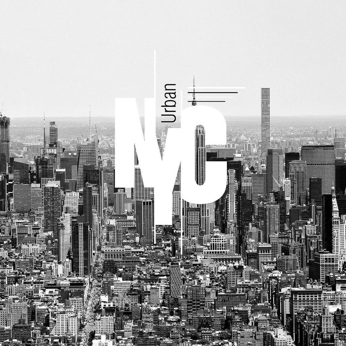 S2806893_2 S2806893_2