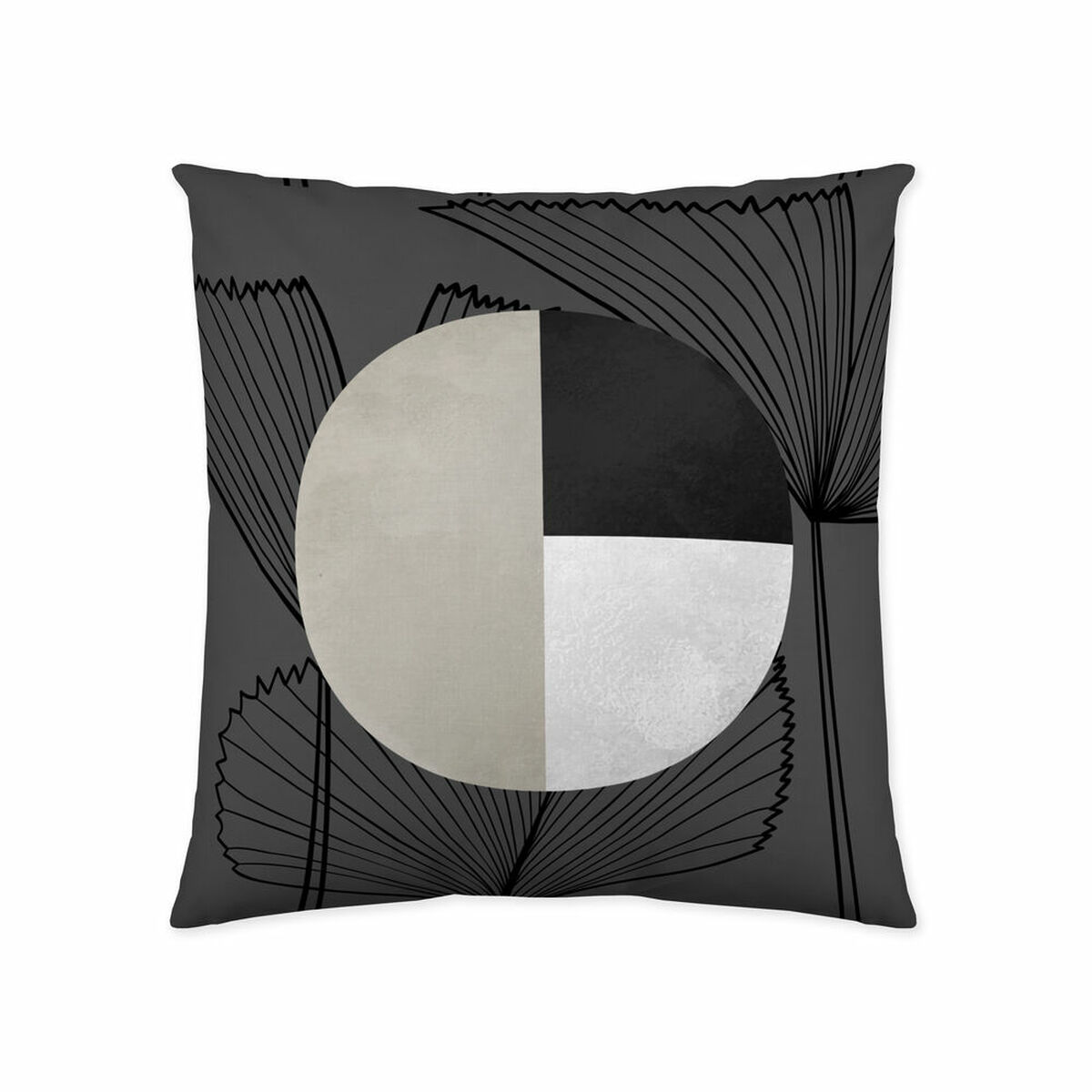 S2807248_0 S2807248_0