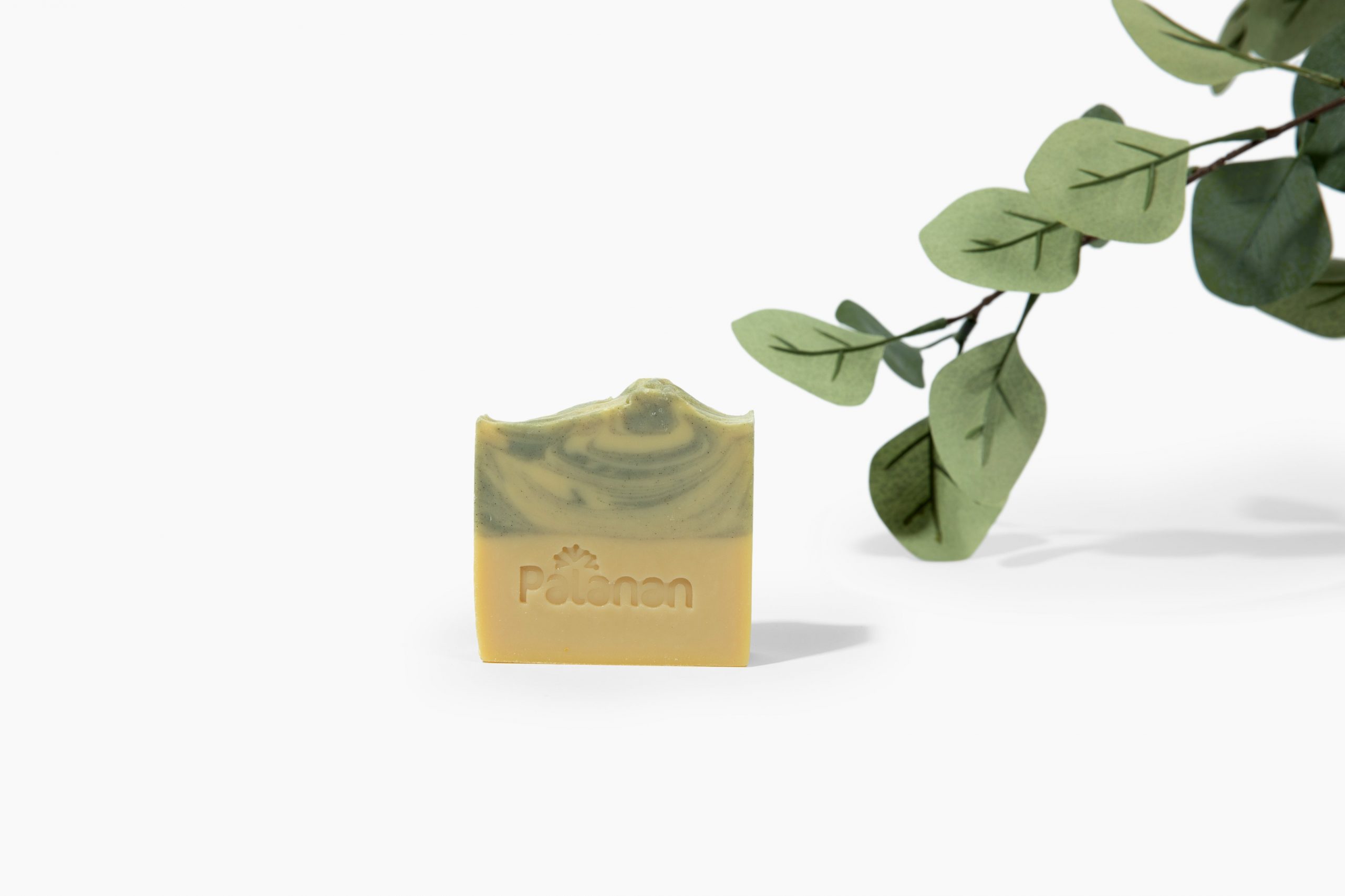eucalyptus-neem-shampoo-bar-shampoo-palanan-854162.jpg